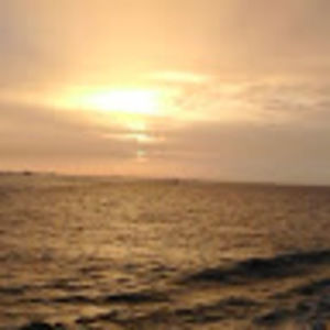 Meet your Posher, Marcia